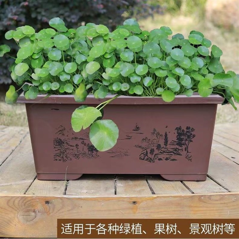 现货户外花盆仿紫砂马槽形阳台种菜花盆大口径假山盆景盆栽特价花