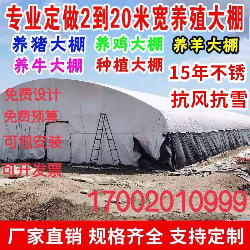 速发养鸡场猪舍牛棚羊圈保温棚户外钢管养殖大棚钢管骨架大棚钢架