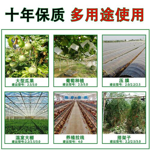 现货塑钢线大棚压膜线高强度养殖丝葡萄火龙果百香果棚架拉线绳托