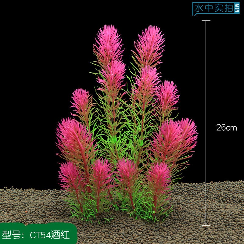 速发鱼缸造景仿真水草水族箱装饰工艺礼品塑料植物花草假花厂家CT