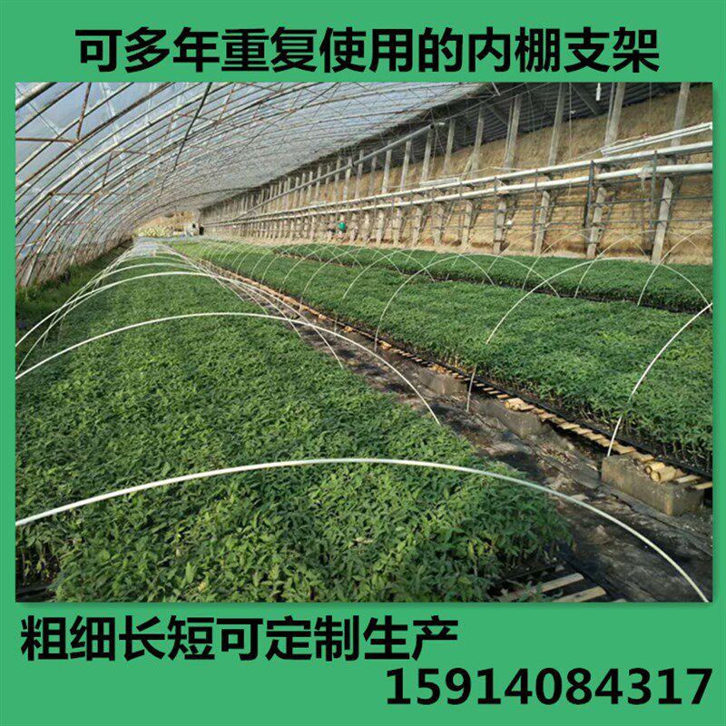 速发小拱棚支架 农用蔬菜暖棚花卉拱竿骨架拱竿育苗拱棚竿地拱塑