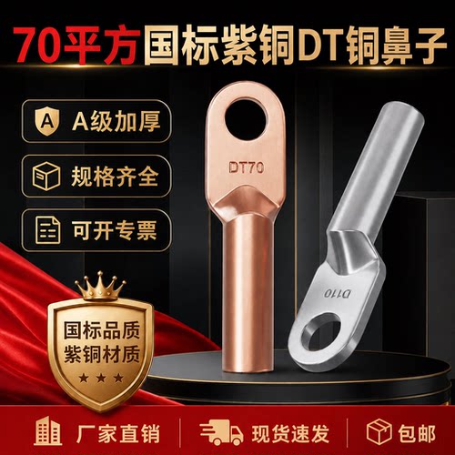 国标紫铜接线端子DT系列