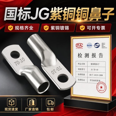 国标加厚JG铜鼻子10平方16