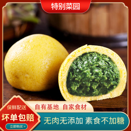 特别菜园菜团子蒲公英荠菜槐花野菜馅菜包子点心营养粗粮早餐食品