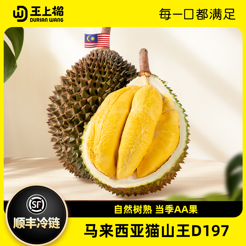 王上榴马来西亚D197猫山王榴莲