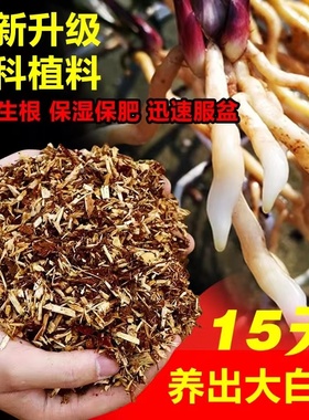 【新型兰花土】疏松透气壮根促芽保湿保肥植物专用营养土兰科植料