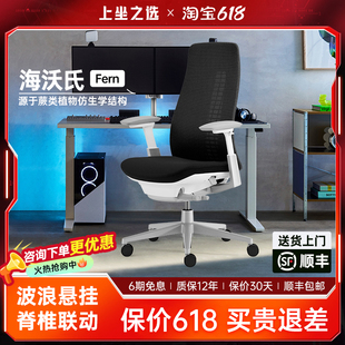 Haworth海沃氏Fern 人体工学椅久坐撑腰护颈办公椅电竞老板椅子