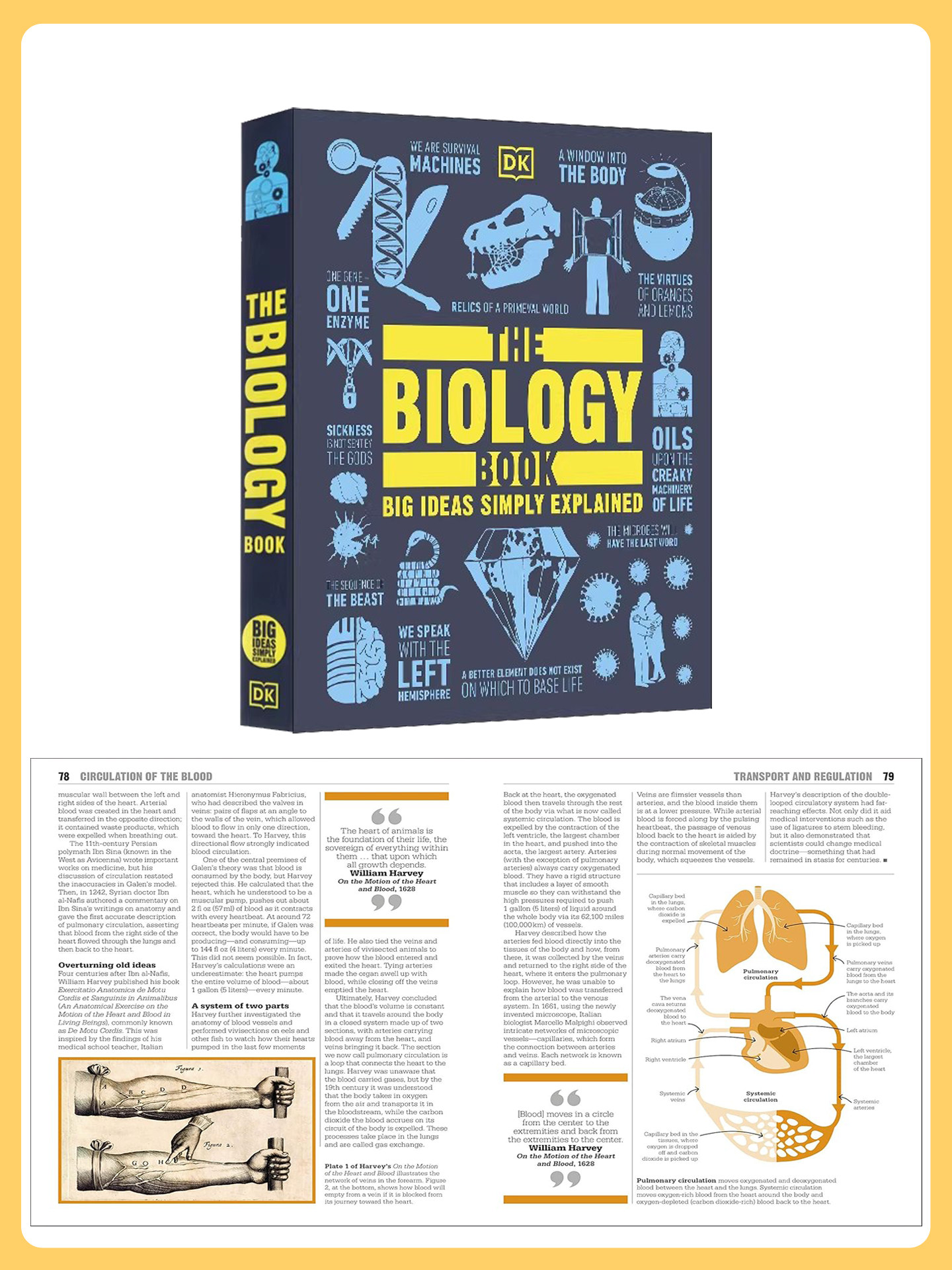 DK Big Ideas Simply Explained 人类思想百科丛书 The Crime Book 犯罪心理社会法律 生物化学物理天文学 人文社会科学 英文原版 thumbnail 6
