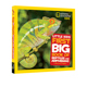 Geographic and Book Big Reptiles Kids Amphibians 美国国家地理儿童百科书青少年科普 Little First National 英文原版