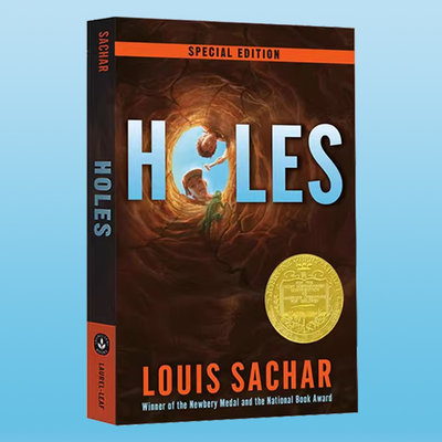 别有洞天寻宝小子1999年纽伯瑞