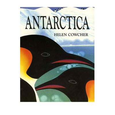 英文原版 Antarctica  暖心治愈 保护环境 儿童英语启蒙绘本图画书