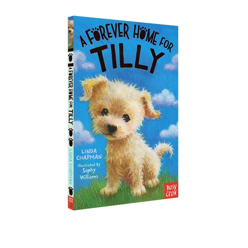 英文原版 A Forever Home for Tilly 没有尾巴的小美人鱼作者Linda Chapman作品 青少年课外阅读 大嘴鸟 Nosy Crow