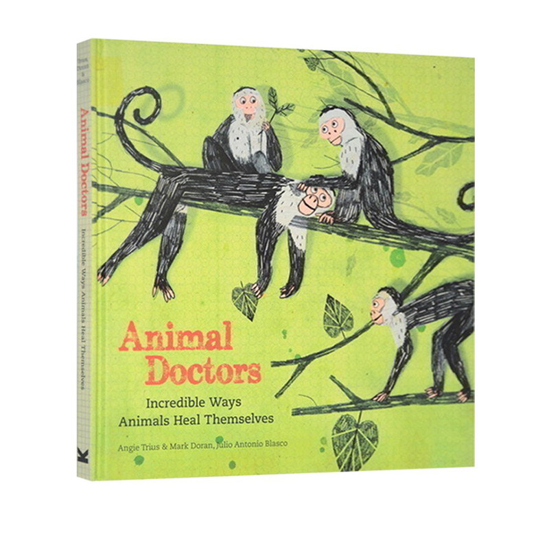 英文原版 Animal Doctors 动物医生 科普与艺术的汇合 精装书 翻翻书 儿童知识性阅读绘本图画书