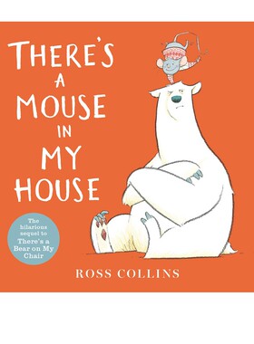 英文原版 There's a Mouse in My House  有一只老鼠在房子里 友谊幽默主题 儿童启蒙图画故事绘本Nosy Crow 大嘴鸟