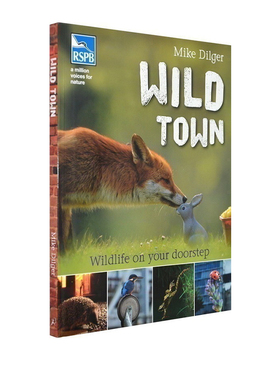 英文原版 Mike Dilger Wild Town(Rspb)自然生态保护科普绘本