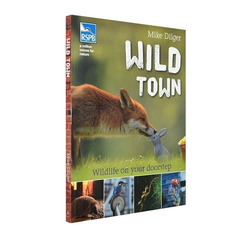 英文原版 Mike Dilger Wild Town(Rspb)自然生态保护科普绘本