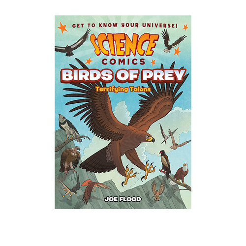 BirdsofPreyTerrifyingTalon