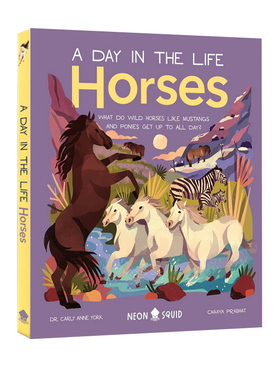英文原版 Horses：What Do Wild Horses like Mustangs and Ponies Get Up To All Day? 精装 动物知识绘本 Neon Squid
