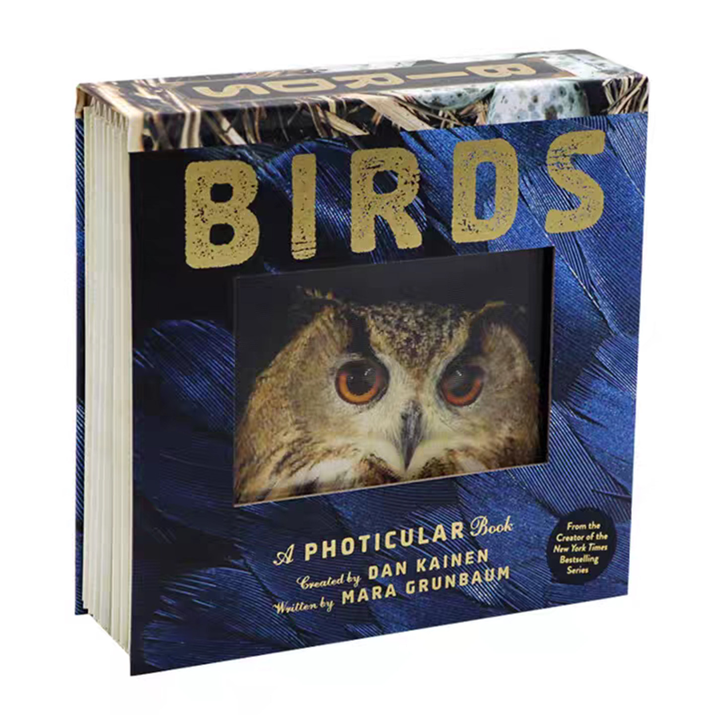 预售 Birds 鸟类 光与影视觉动画书系列 A Photicular Book 会动的3D图片书 英文原版儿童百科科普读物