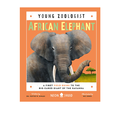 知识科普绘本AfricanElephant