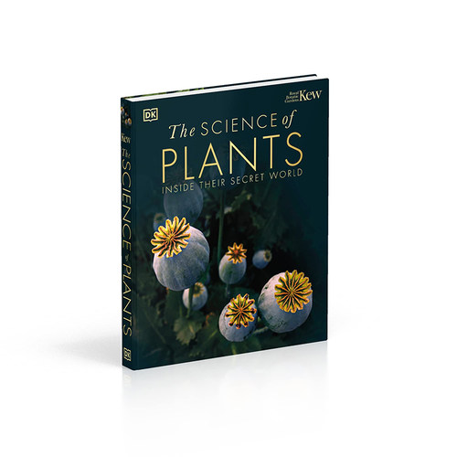 英文原版 The Science of Plants 精装大开本 植物知识科普 DK图解科普百科 全彩科普读物