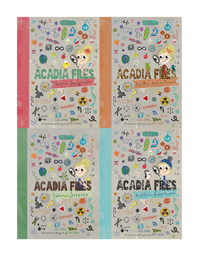 英文原版 The Acadia Files 系列 4册 阿卡迪亚档案科学 春夏秋冬的科学 季节绘本 Tilbury House 蒂尔伯里自然和科学绘本
