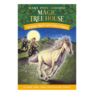 英文原版 #39 Windy Night with Wild Horses 风夜野马 神奇树屋39 学生课外读物儿童桥梁章节书