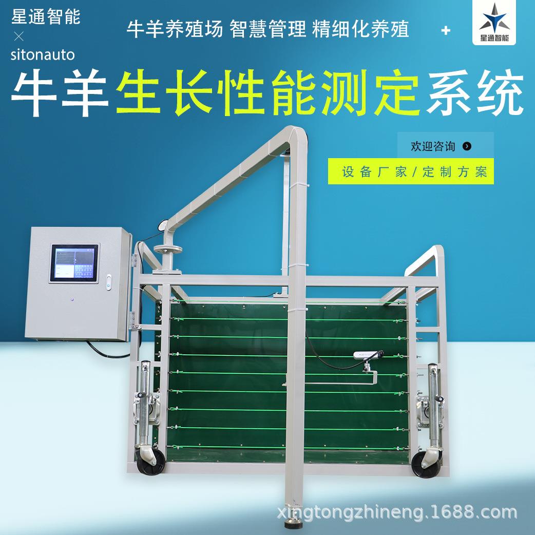 羊用智能表型测定系统体尺测量无接触高精度数据可上传云端管理