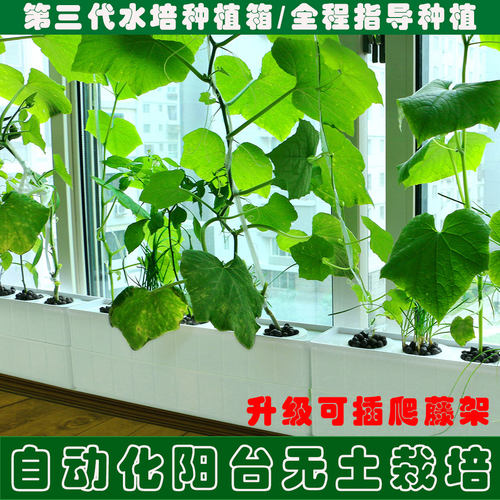 ABS材料，环保健康，把新鲜蔬菜/瓜果带回家
