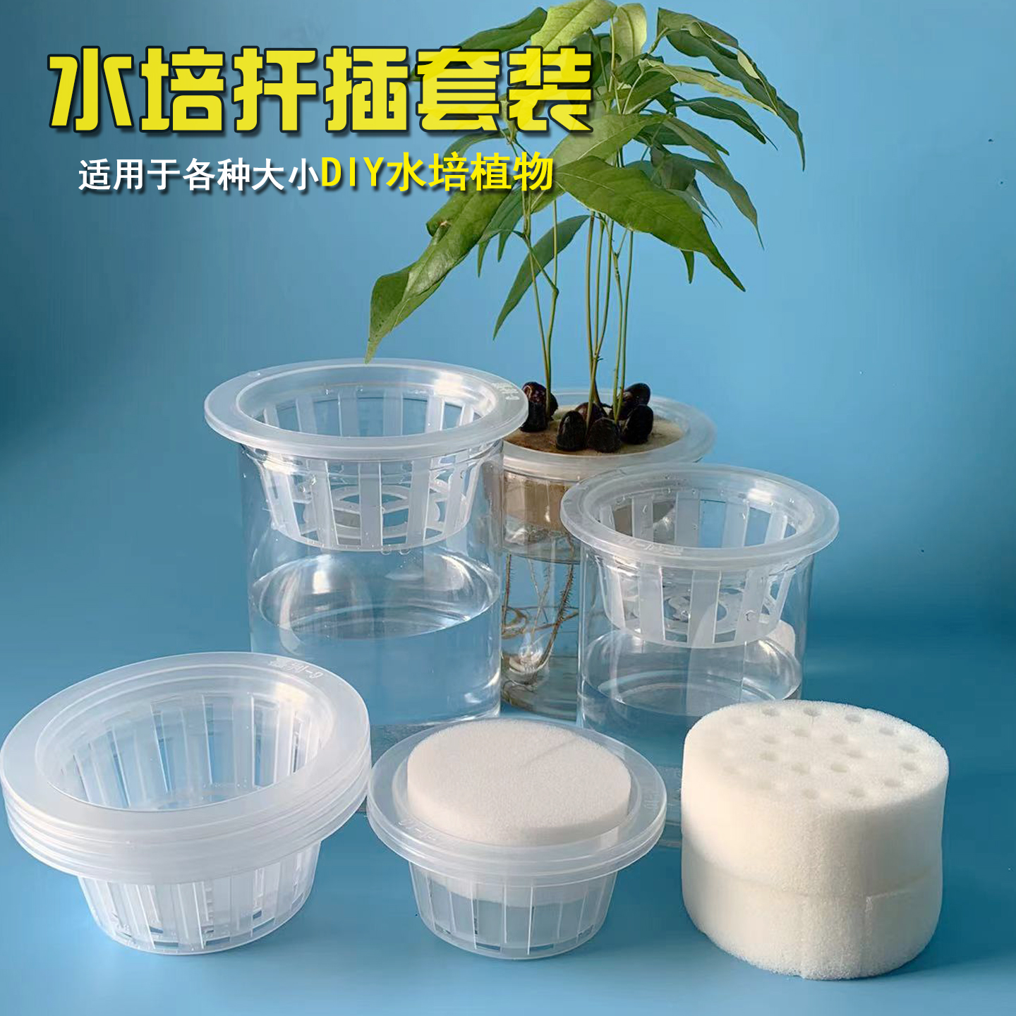高透亮水培器皿圆柱形花盆豆种子多肉荔枝红薯定植篮扦插棉种植瓶