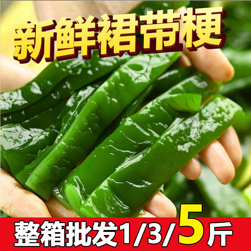 裙带菜梗批发海白菜海带盐渍海藻菜鲜嫩凉拌菜素食群带莱干货海草,水产肉类/新鲜蔬果/熟食,裙带菜,淘宝优惠券,粉丝福利购,淘宝优惠卷