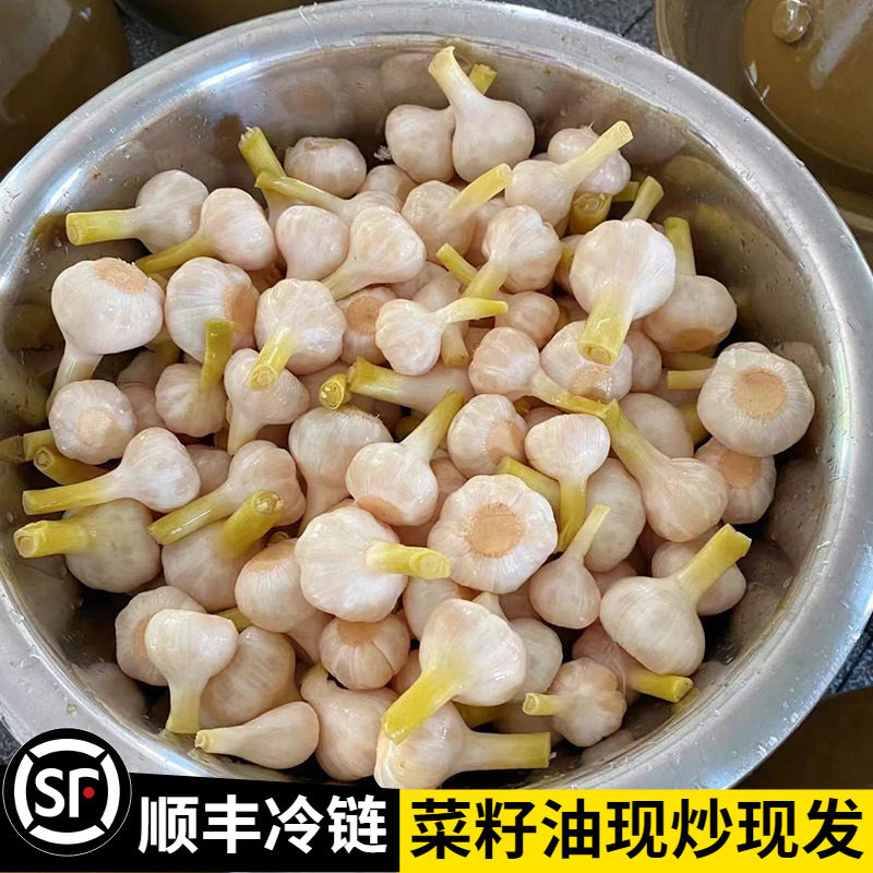 大蒜头腌制小咸菜正宗农家下饭菜