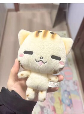cc猫玩偶超软古早味可爱烤焦猫咪