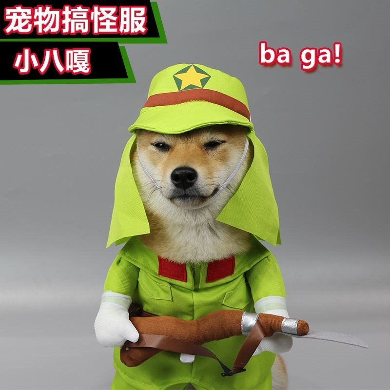 小八嘎变身装搞怪宠物狗狗 日本鬼子变身装 猫咪抖音搞笑八嘎衣服