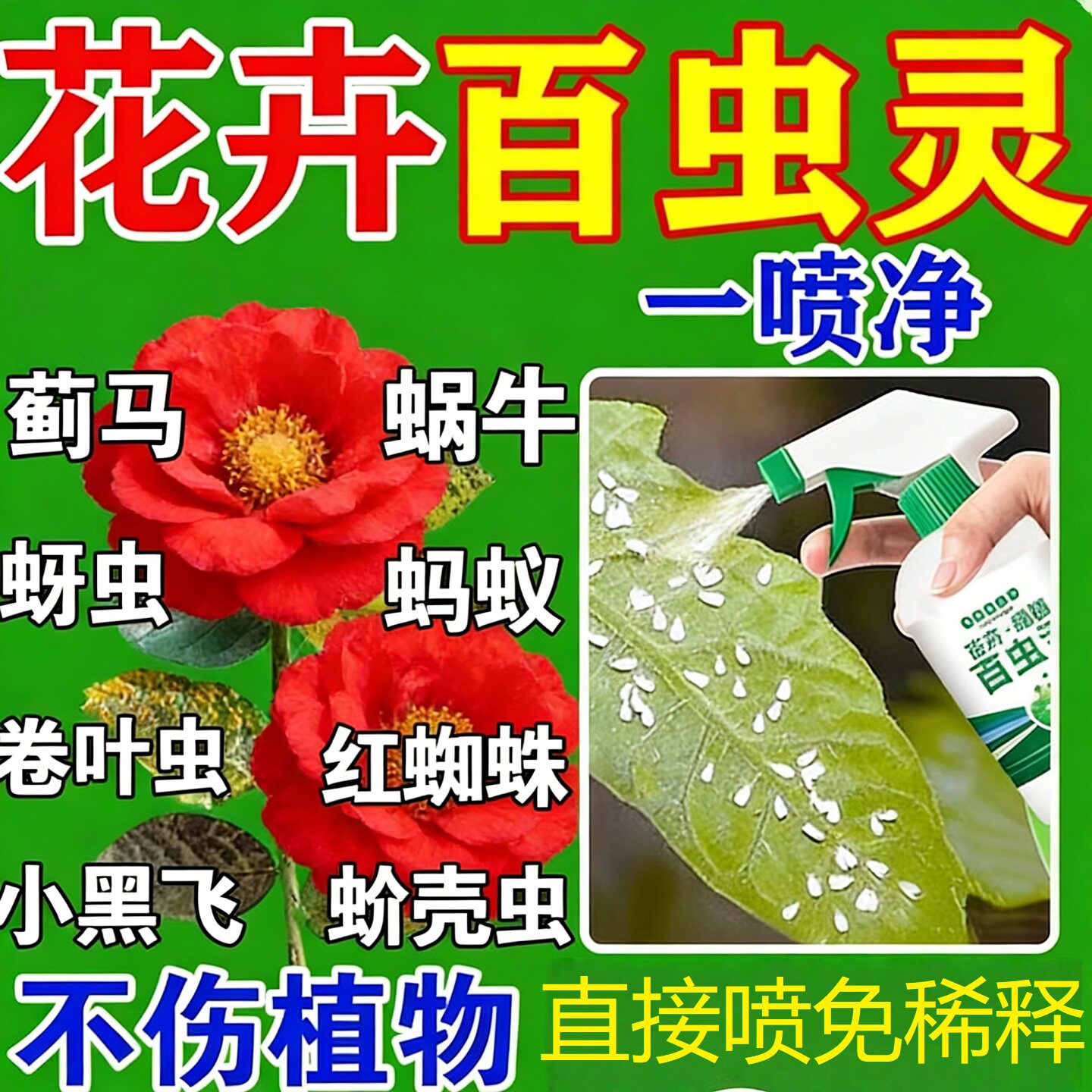 百虫灵花卉杀虫剂灭蚜红蜘蛛