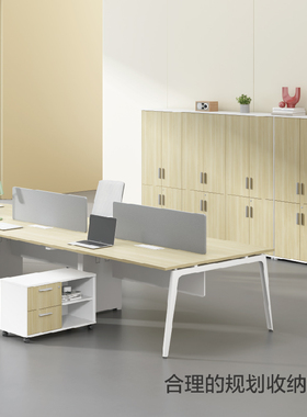 得力普乐士文件柜EWMX204020