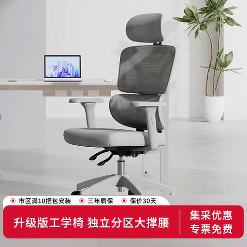 得力普乐士人体工学椅