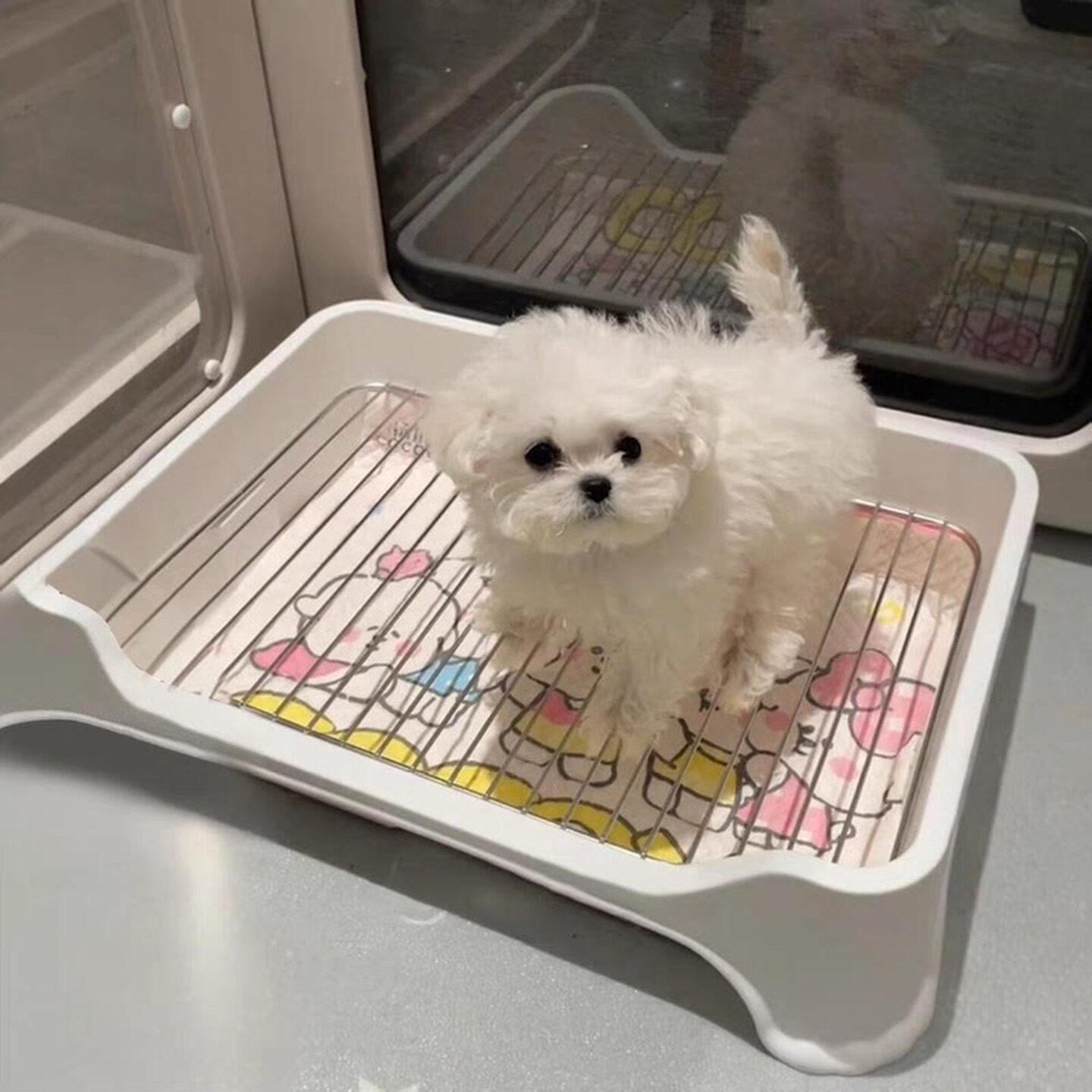 狗尿垫托盘狗狗厕所中小型犬尿盆防踩屎定点排便盆小狗定点厕所盆