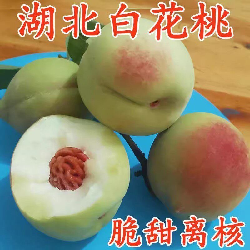 脆桃新鲜白花桃六月桃当季现摘桃子湖北毛桃鲜桃10斤整箱脆甜现货