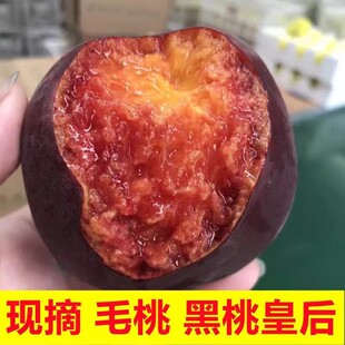 现摘新鲜应季水果黑桃皇后黑美人血桃血丝水蜜桃稀罕水果5斤