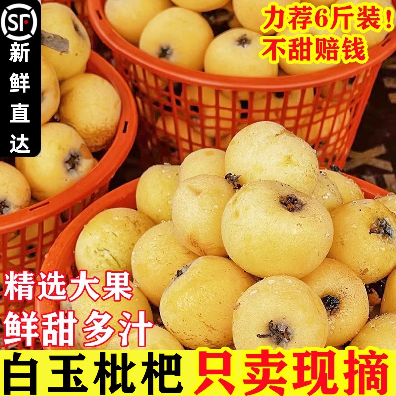 正宗白玉枇杷孕妇水果顺丰礼盒装图片