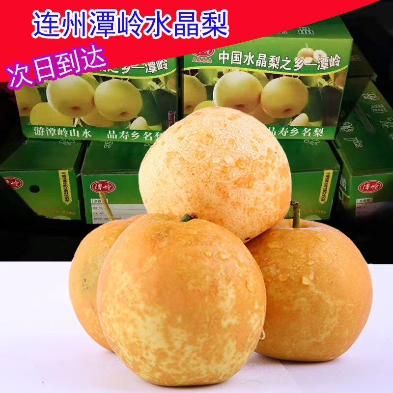 清远连州水晶梨十斤广东特产当季翠冠梨 现季脆冠梨潭岭新鲜5斤10