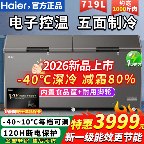 海尔冷藏大容量卧式低温商用冰柜