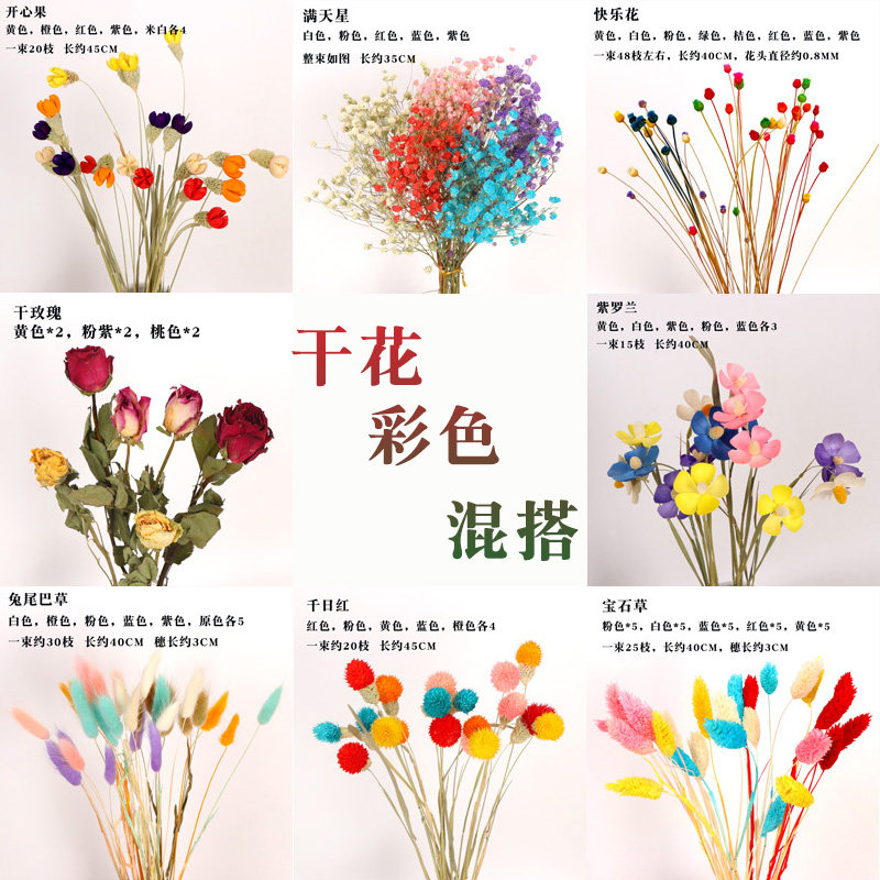 混搭兔尾巴彩色ins风小清新干花