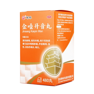 碑林金嗓开音丸480丸急性咽炎喉炎咽喉肿痛声音嘶哑利咽药非胶囊