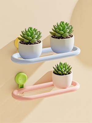 吸盘花架阳台悬挂盆栽绿萝卜储物架窗台玻璃办公室工作站绿色植物