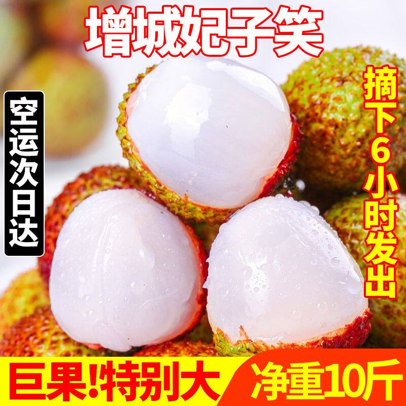 增城荔枝白糖罂现摘现发当季新鲜水果5斤整箱包邮妃子罂笑3礼盒装
