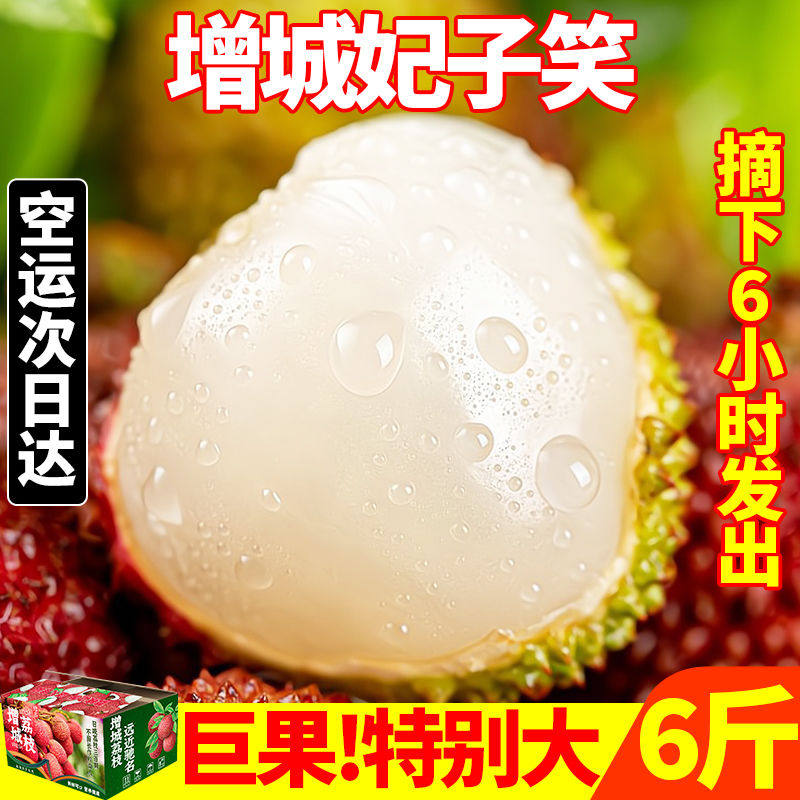 广东增城荔枝白糖罂大果新鲜桂老树现摘现发糯米仙进糍奉味空运