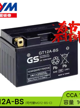 三阳巡弋CRUISYM 300阿尔法T1T2 GTS300 RV180摩托车电瓶GT12A-BS