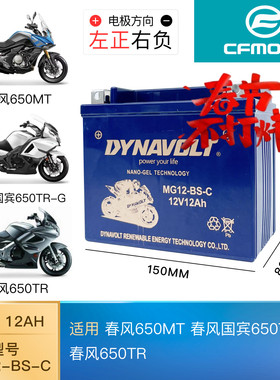 春风原厂 650MT/国宾650TR-G/650TR 摩托车电瓶12V猛狮蓄电池